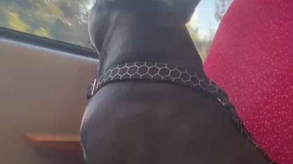 82c48cb0-73d3-4a0d-9edf-991209fc0afc