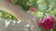 Rosewater (2014) Napisy PL - 480p