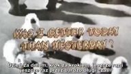 Dwa pytania, kt&oacute;re mogą zmienić Twoje życie
