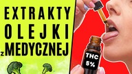 EKSTRAKTY i oleje z MEDYCZNEJ  | A komu to potrzebne? | KONOPNY FARMACEUTA | Odc. 2