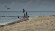 0901 Nasze Universum S01E04. 720p. NF. WEBRip. DDP5. 1. x264. Lektor. &. Napisy.pl-vantablack