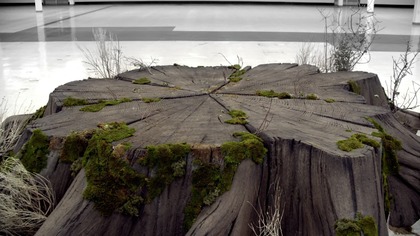 Teen Wolf S03E22 Nicość