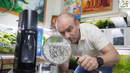 CO2 z SodaStream do akwarium  Czy to się opłaca? Montaż, koszty i wydajność