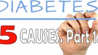 Diabetes - 5 Causes.  Part 1.