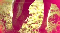 Rajd Polski 2012 - Slow Motion