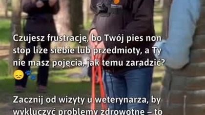Dbanie o zdrowie psa  co oznacza kompulsywne lizanie?  #Psy #ZachowaniePsa #Weterynarz