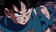 Dragon Ball Heroes 11