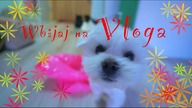 VLOG - ŁÓDŹ - WARSZAWA - PUPKA KOKOSA - KURTKA ZA DARMO :D