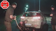 Bolt pomaga Boltowi wydostać się z rowu w Sylwestra.  STOP PIRAT