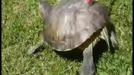 Mega Mix Youtube - i tak nie ogarniesz (Zapowiedź)