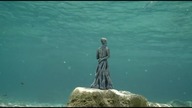 Indila - S O S HD
