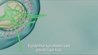 Tarcza antykryzysowa rządu PiS to BETONOWE koło ratunkowe!