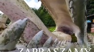 Geologiczne Muzeum Ziemi w Kletnie  #shortsvideo #kletno #wakacje #przygoda #wycieczka #shorts