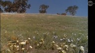 Domek na prerii S07e20 Jak przed laty TNT Xvid Lektor PL