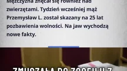 1453 Uśmiechnięta Platforma Obywatelska, (1)