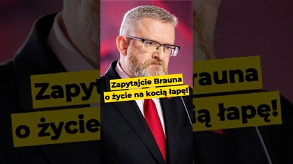 Zapytajcie Brauna o życie na kocią łapę! #Braun #konfederacja