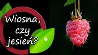 Kiedy kupować, sadzić i przesadzać rośliny?