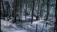 Xena - Wojownicza Księżniczka - Sezon 5 - Odcinek 4 - Zwierzęcy magnetyzm