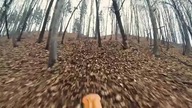 Ekipa enduro spod Krakowa:)