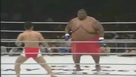 Big SumovsMMA Fighter