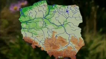 Pod Skrzydłami Motyla - W Pienińskim Parku Narodowym (2003) [PL]