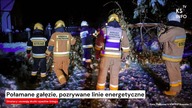 Połamane gałęzie, pozrywane linie energetyczne [Serwis informacyjny, KSTV Info]