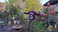 Kury jarzębiate na zielonym wybiegu i prac ogrodowych cd.