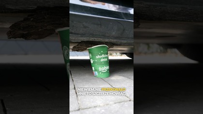 Czy zawieszenie pneumatyczne w Audi ZGNIECIE KUBEK? #audi #etrongt #danielgrzyb #elektromobilność