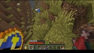 Well, that didnt go as planned #minecraft #game #gaming #Short #Shorts #Bruh