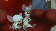 Pinky i Mózg S03E15 - Prawdziwe życie