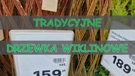 TRADYCYJNE DRZEWKO WIKLINOWE