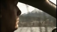 SZOK Cała prawda o rybach lektor PL