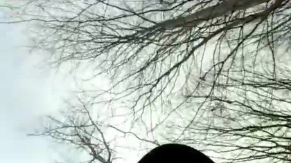 Sharp i Rubik w lesie! Sarmata! Q& A z wyprawy z lasu! Pogadanka na różne tematy! Pies i puszcza!