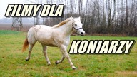 Filmy o koniach które MUSISZ zobaczyć!