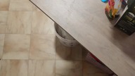 jaja od indyka vs kury...