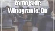 Zamojskie Winogranie.  Dużo wina i koncerty.  Wystąpią Mezzo i Kayah