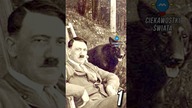 SHORTS 3 CIEKAWOSTKI O II WOJNIE ŚWIATOWEJ