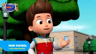 NICKJR - 28-08-2022 - Zapowiedzi, Reklamy, Identy