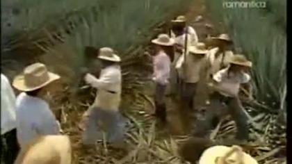 Miłość jak tequila odc 090
