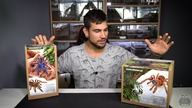 Nowe zestawy pajęczarza ! Tuba z ledami? Tak, to możliwe! Bioterr.pl poszedł na całość