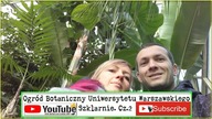 344-Cz. 2 UW-Szklarnie- Banan musa acuminata colla, kawa arabica, musa sikkimensis.  Stalewiak