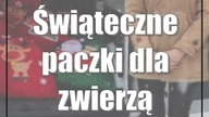 Świąteczne paczki dla zwierząt z ubogich rodzin