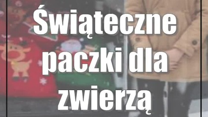 Świąteczne paczki dla zwierząt z ubogich rodzin
