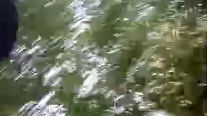 Rubik popołudniowy, leśny, po półfinałowy :/ Dyskusja z Sarmatą oraz Q&A z Koszalińskiego lasu!