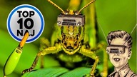 Top 10 Naj | 10 mocno wykręconych wynalazków XX w.! ;)