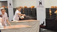 Wystawa kot&oacute;w rasowych konkurs Politechnika Poznań 9 listopada 2024 fragment 2