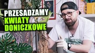 Jak powinno się przesadzać rośliny doniczkowe!