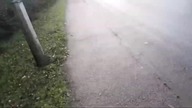 Prosto Z Anglii Krótki Live Jak Tu Jest
