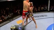 MMA lesnar - Velasquez