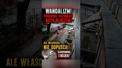 Przyłapany na gorącym uczynku.  To skończyło się konfrontacją  #shorts #polskiekierowcy